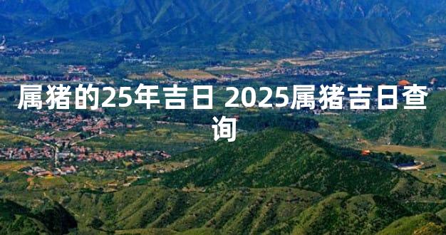 属猪的25年吉日 2025属猪吉日查询